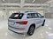 preview Skoda Kodiaq #1