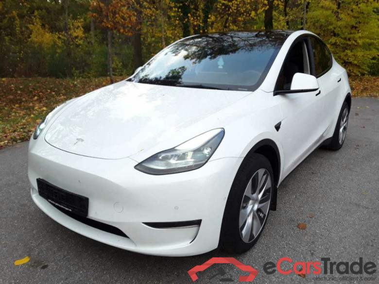 Tesla Model Y (01.2021->), Dual, Maximale Reichweite Dual AWD, 2021 - 2025