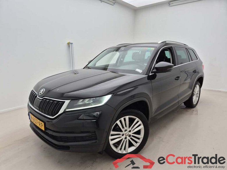 SKODA Kodiaq 1.5 TSI Bus. Ed. Pl. #1