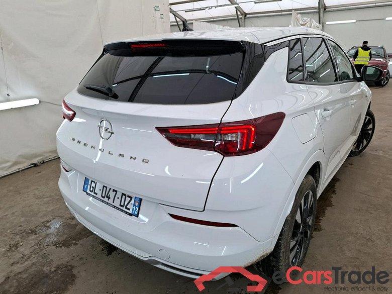 Grandland X Elegance Business 1.5 130CV BVA8 E6d #3