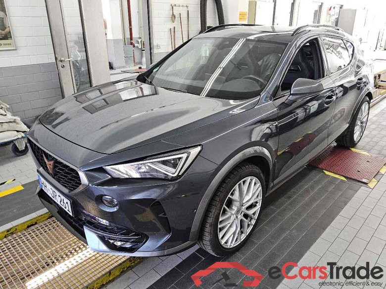 Cupra Formentor (KM7)(08.2020->) DE - SUV5 2.0 TSI EU6d, VZ 4 Drive, 2020 - 2024