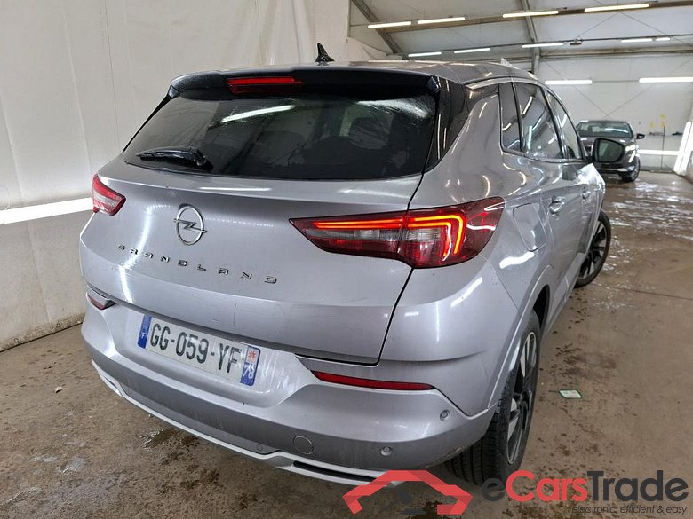 Grandland X Elegance Business 1.5 130CV BVA8 E6d #3