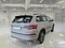 preview Skoda Kodiaq #1