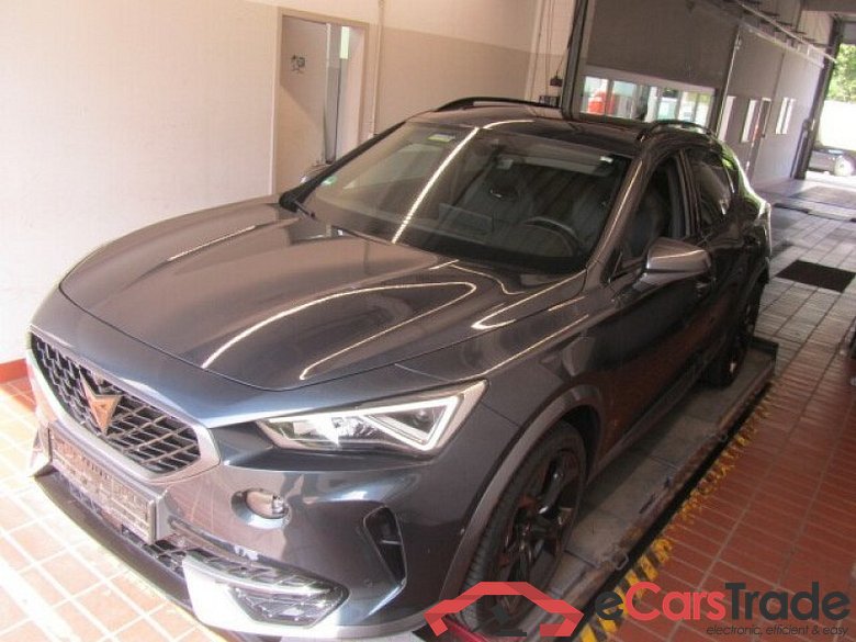 Cupra Formentor (KM7)(08.2020->) DE - SUV5 2.0 TSI EU6d, VZ 4Drive, 2020 - 2024