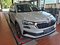 preview Skoda Karoq #1