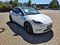 preview Tesla Model Y #1