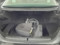 preview BMW 530 #4