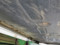 preview Hyundai IONIQ 6 #3