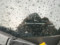 preview Cupra Born #2